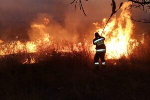 Comunicat DSE mun.Orhei: săptămâna precedentă pompierii din Orhei, Rezina, Telenești și Șoldănești au lichidat cca 10 incendii de vegetație