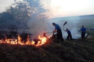 Comunicat DSE mun. Orhei:  sute de hectare de vegetație au ars în raioanele Orhei, Rezina, Telenești și Șoldănești