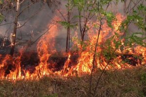 Meteorologii au emis Cod galben de pericol de incendiu în întreaga țară până pe 14 august