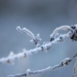 Vine un weekend geros. Meteorologii au emis Cod galben de scădere a temperaturii