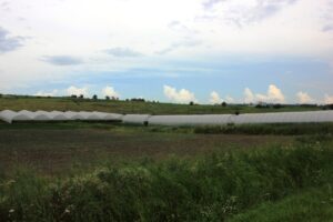 Vor putea străinii cumpăra terenuri agricole după aderarea la UE? Răspunsul Iwonei Piorka