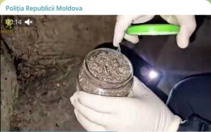 La Berezlogi polițiștii au depistat două cazuri de păstrare a substanței vegetale asemănătoare cu marijuana