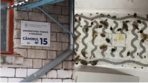 Scandalul de la un cămin UTM ia amploare. O studentă s-a trezit cu un gândac în ureche