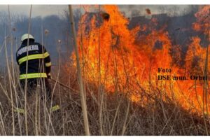 Comunicat DSE mun.Orhei: incendiile de vegetație provoacă pierderi irecuperabile