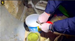 Marijuana în valoare de 5 milioane de lei scoasă din circuit la Furceni, Orhei