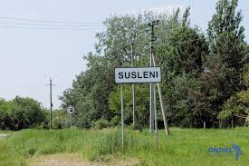 Un grup de copii ține în frică mai multe familii din satul Susleni, raionul Orhei