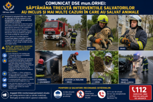 Comunicat DSE mun.Orhei: săptămâna trecută intervențiile salvatorilor au inclus și mai multe cazuri în care au salvat animale