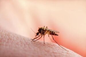 ANSP avertizează asupra riscului de infectare cu malarie. Călătorii, îndemnați să se protejeze de înțepăturile de țânțari