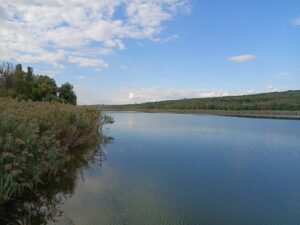 Temperaturi de până la 23 de grade, prognozate pentru ziua de vineri