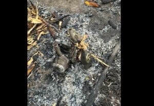 „Premieră”: Una dintre dronele care au explodat pe teritoriul R. Moldova ar fi de tip Gerbera și era dotată cu o cameră de bord